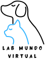 Lab Mundo Virtual